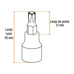 Juego de 7" dados de puntas torx encastre 1/2" Truper - Imagen 5